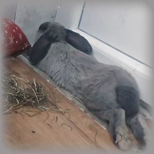 ♡ Day 78 ; 31.01.2025