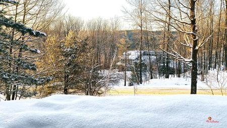 Beautiful Canadian Winter ! Quebec