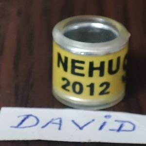 2012-Anglia