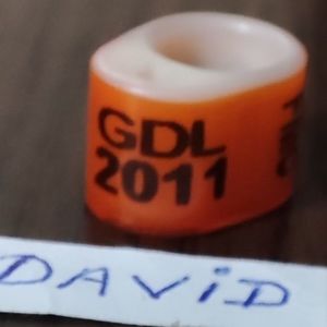 2011-Brazilia