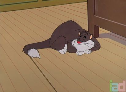 Mice Follies
