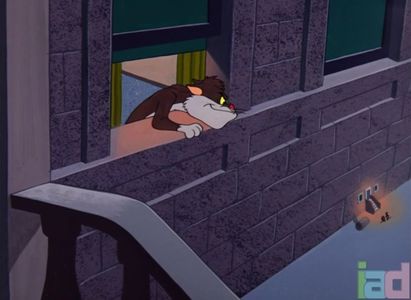 Mice Follies