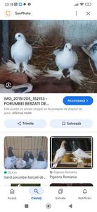 Screenshot_2025-02-09-23-18-03-596_com.google.android.googlequicksearchbox
