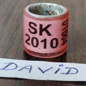 2010-Slovacia