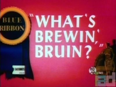 Whats Brewin Bruin