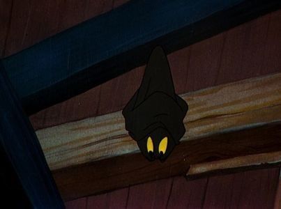 The Brave Little Bat