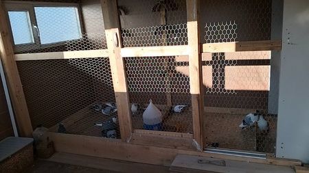 IMG20241213144219_01