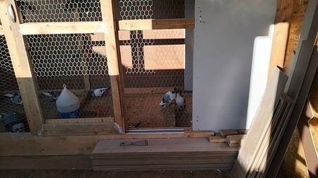 IMG20241213144216_01