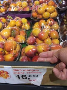 20240823_141703a; mangos
