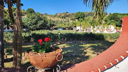 Beautiful MEXICO 4
