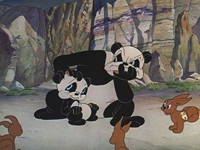 Life Begins For Andy Panda