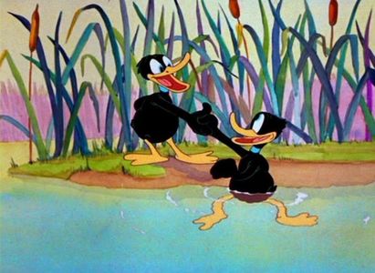 Daffy Duck And Egghead