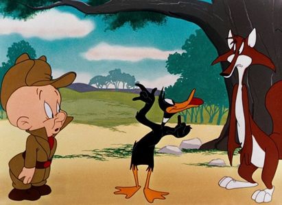 What Makes Daffy Duck