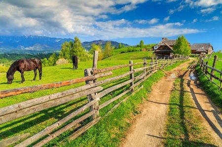 bran-romania-768x511