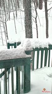 Quebec Winter