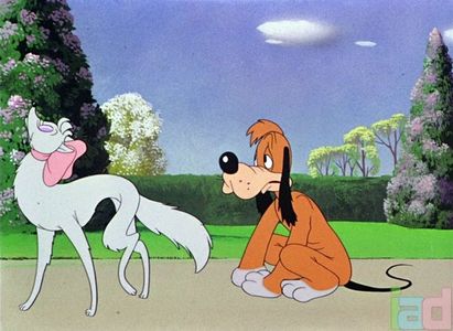 Ding Dog Daddy