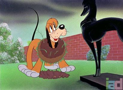 Ding Dog Daddy