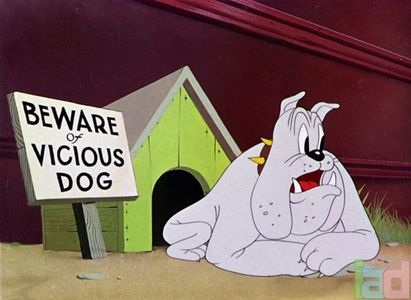 Ding Dog Daddy