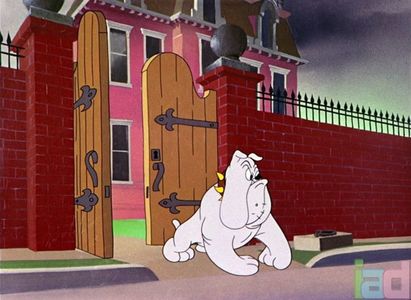 Ding Dog Daddy