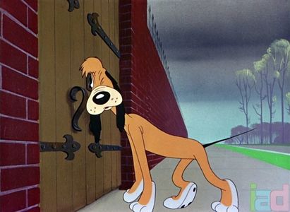 Ding Dog Daddy
