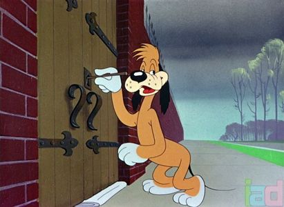 Ding Dog Daddy