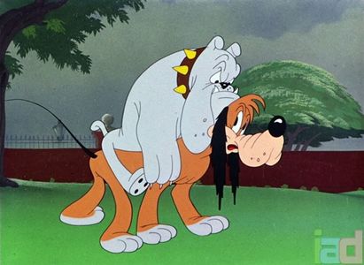 Ding Dog Daddy
