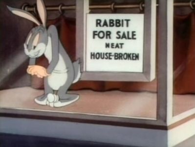 Elmers Pet Rabbit