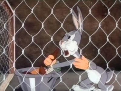 Elmers Pet Rabbit