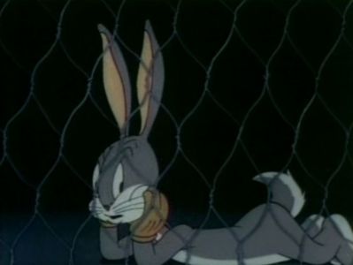 Elmers Pet Rabbit