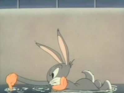 Elmers Pet Rabbit