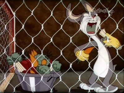Elmers Pet Rabbit