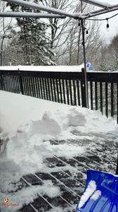 Quebec Winter 2