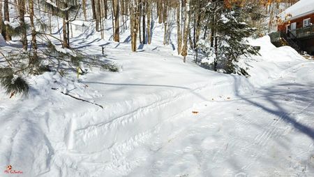 Le beau Canada 3 !