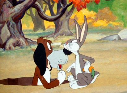 The Heckling Hare