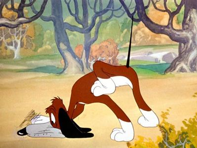 The Heckling Hare