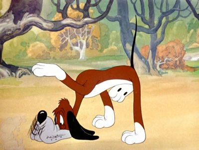 The Heckling Hare