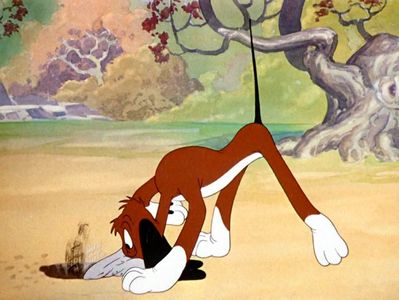 The Heckling Hare