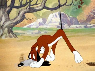 The Heckling Hare