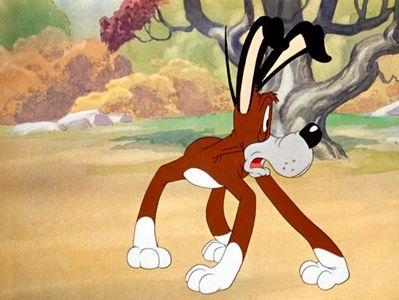 The Heckling Hare