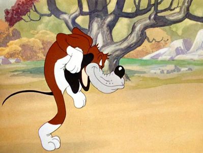 The Heckling Hare