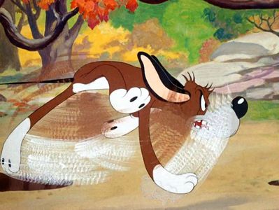 The Heckling Hare