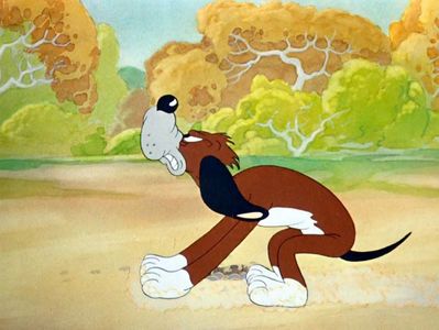 The Heckling Hare