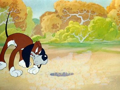 The Heckling Hare