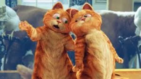 Poza 27.(Garfield: A Tail of Two Kitties (2006)