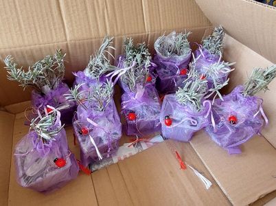 În pachetele pe lângă produse doTerra