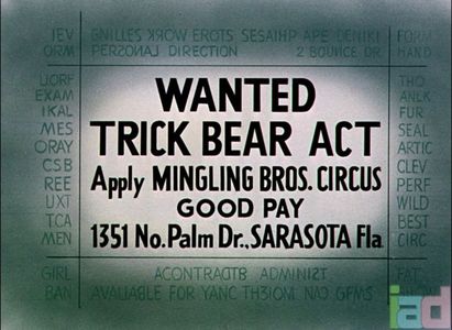 Bear Feat