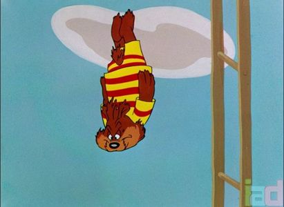 Bear Feat