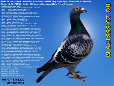 RO 20 858175 M Pret 200 Lei + transportul