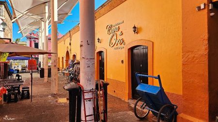 Tequila Cava de Oro Shop