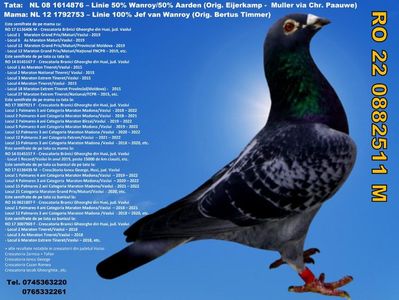 RO 22 0882511 M Pret 300 Lei + transportul